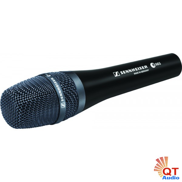 Micro Sennheiser E-965